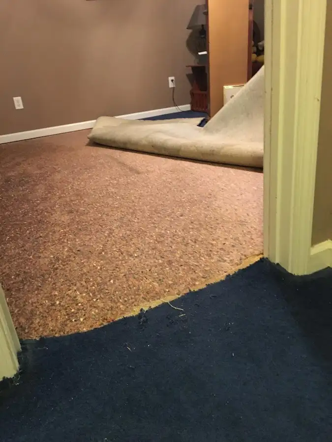Carpet pad removal revealing water damage during Water Mitigation Services in North Sewickley