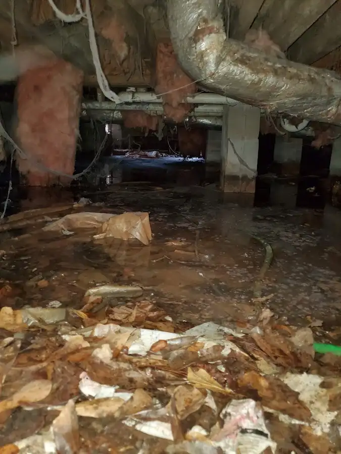 Crawl space flood assessment for Commercial Water Damage Restoration in North Sewickley