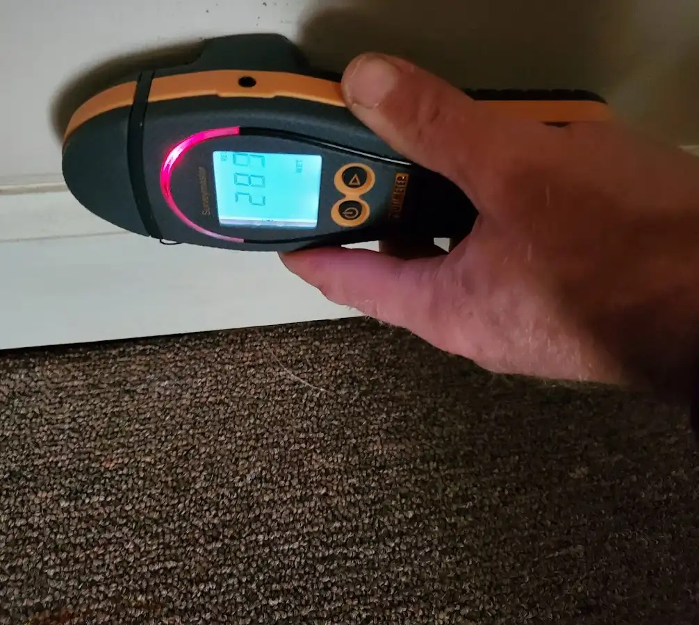 Moisture detection at baseboard during Sewage Cleanup & Sanitation in North Sewickley